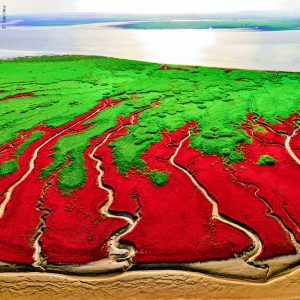 La plage rouge à Plajin - Chine