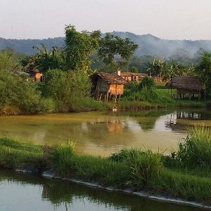 Chitwan village Népal - Apogée Voyages