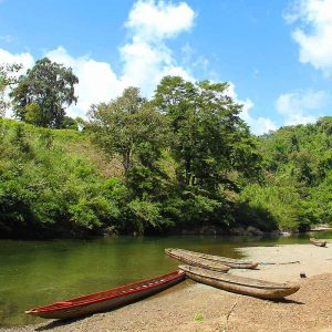 Dans la jungle Panama - Communauté Embera - Apogée Voyages