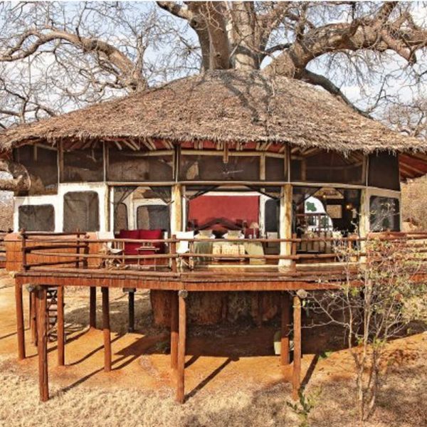 Hôtel Tarangire Treetops Tanzanie - Apogée Voyages