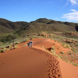 Tok Tokkie Trails Namibie - Apogée Voyages