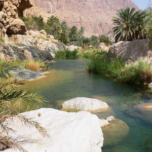 Sur la route de l'encens - Oman - Apogée Voyages