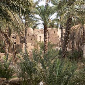 Montagnes et forteresses au Sultanat d’Oman - Apogée Voyages