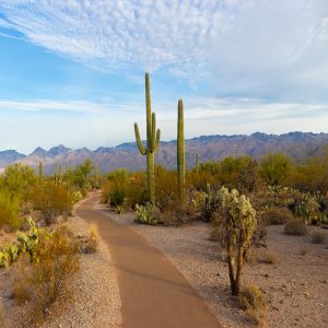 Glamping Tucson Arizona - Apogée Voyages