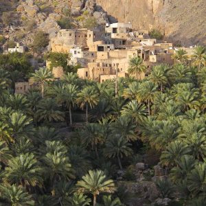 Circuit randonnée Oman - Apogée Voyages