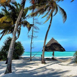 Itinéraire parc Sélous Zanzibar Tanzanie - Apogée Voyages