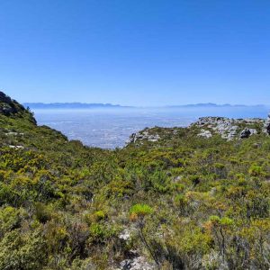 : Randonnée sur la Montagne de la Table Afrique du Sud - Apogée Voyages